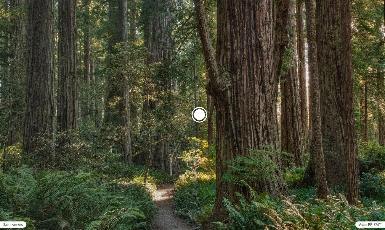 Oakley Jawbreaker / Prizm Low Light / Black / Ref. OO9290-5431 9 Oakley Jawbreaker / Prizm Low Light / Black / Ref. OO9290-5431 - Image 7