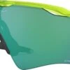 Oakley Radar Ev Xs Path Mat Uranium / Prizm Jade / Ref. OO9001-1731 -Odlo Fashion Shop 15299055efcaae2e898e1.56987595