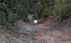 Oakley Radar EV Path Sunglasses / Matt Black / Prizm Trail Torch / Ref.OO9208-9038 -Odlo Fashion Shop 8988495e6a5bc13a7cf5.71474638